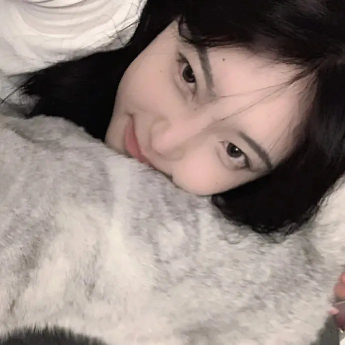 狮子狗行动
