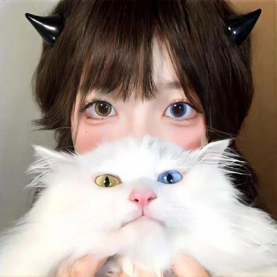 主妇之谜
